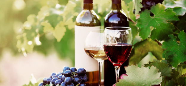 VIÑEDOS EN MENDOZA, ARGENTINA