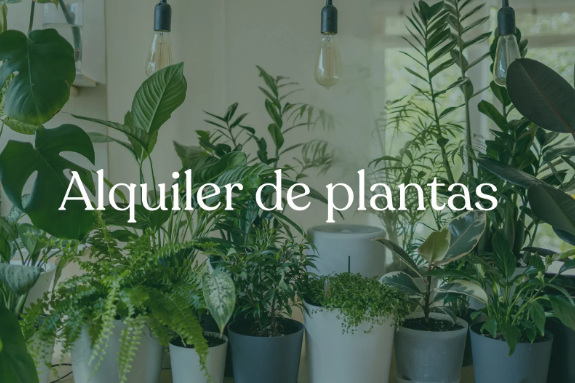 EMPRESA DE JARDINERÍA ESPECIALIZADA EN ALQUILER DE PLANTAS PARA EVENTOS Y RENTING